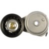 TENDEUR COURROIE ACCESS GM TRUCK V6-SB V8 96-14*