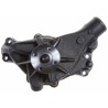 POMPE EAU GM PASS-TRUCK V6 4.3L-SBC 87-96 43114