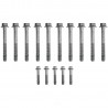 KIT VIS CULASSE GM PASS-TRUCK LS V8 06-21*