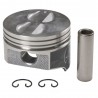 PISTON FORD 289-302CI SB V8 64-92 -AVEC DOME/+.060