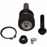 ROTULE INF SUSP AVT MUSTANG 05-09 V6-V8 GT*
