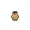 SONDE TEMPERATURE MOTEUR FORD TRUCK FS 90-05