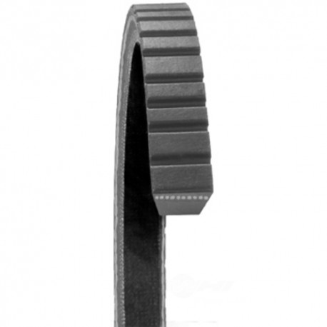 COURROIE TRAPEZOIDALE 17525