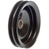 POULIE POMPE DA GM PASS-TRUCK 76-93 300-121