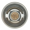 THERMOSTAT - 195°F 300-195*