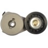 TENDEUR COURROIE ACCESS FORD TRUCK-MPV 4.0L 93-00