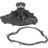 POMPE EAU PONTIAC V8 69-81 - 11 VIS 43102