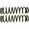 KIT RESSORTS SUSP ARR MUSTANG V6-GT CONVERT 05-10*