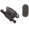 BOBINE ALLUMAGE GM PASS-TRUCK LS V8 05-16 - CARRE