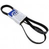 COURROIE ACCESSOIRES MOPAR TJ-KJ-WK 4892520AB