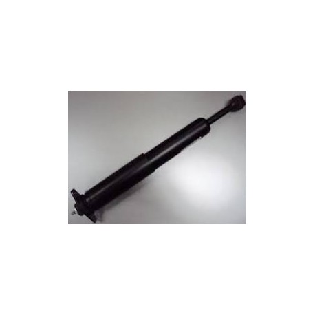AMORTISSEUR ARR 300C-LX 05-10 4895563AB