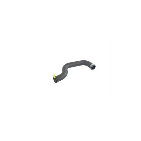 DURITE INF RADIATEUR MOTEUR RT 3.6L V6 11-16