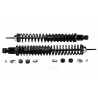 KIT COMBINES AMORT-RESSORT ARR F150 PU 2WD 97-04*