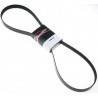 COURROIE ACCESSOIRES 6K610AP