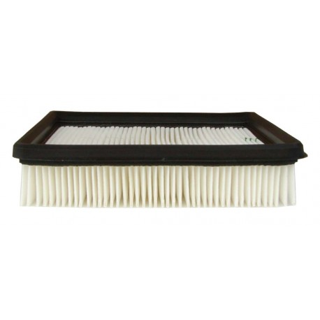 FILTRE A AIR GM PASS S-MPV L4-V6 86-05 A1615C